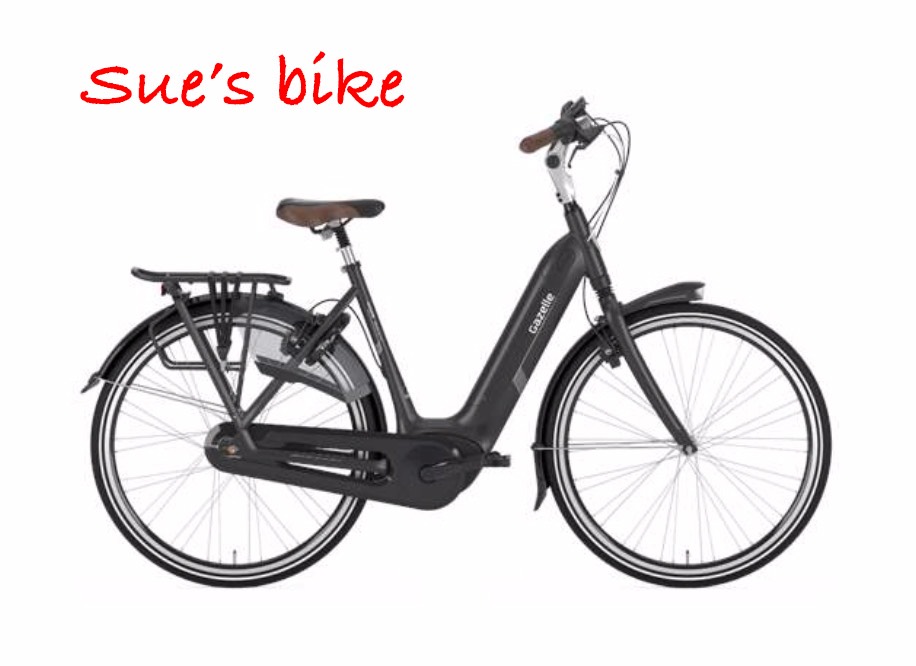 Sue's bike